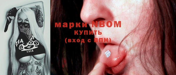 стафф Вязьма