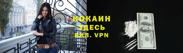стафф Вязьма