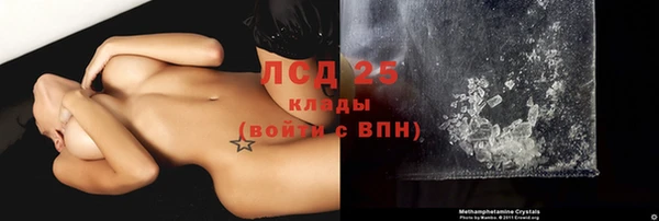 стафф Вязьма